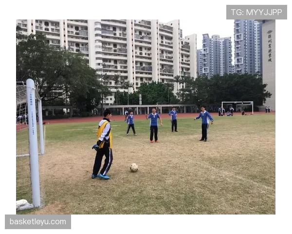 球门球规则详解：何时算有效发出？