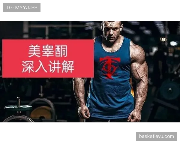 深入解析篮球发球干扰规则：定义与判罚标准